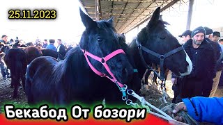 НАМАНГАН БЕКАБОД ОТ БОЗОРИДА ТОЙ НАРХЛАРИ 25.11.2023. OT BOZORI BEKABOD.horsemarketin.