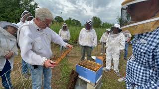 The Single Brood Box Workshop