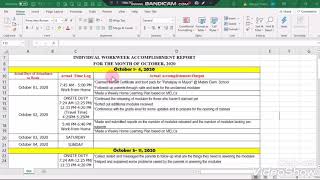 Individual Workweek Accomplishment Report Sample