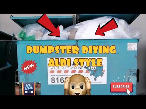 Do You Think This Is A Good Video About Dumpster Diving At Aldi Youtube