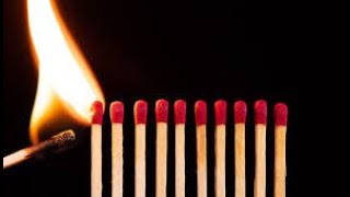 MATCH Colors RACE! Which COLOR Burns the BEST||Match Chain Reaction Experiment|| domino #matchsefire