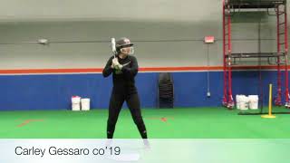 Carley Gessaro Hitting Skills Video