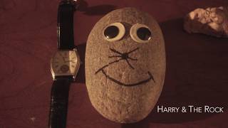 Harry & The Rock | Directed By Wes Rolan | Short Film