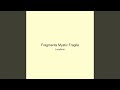 Fragments Mystic Fragile