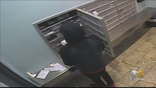 Mail Thieves Caught In The Act