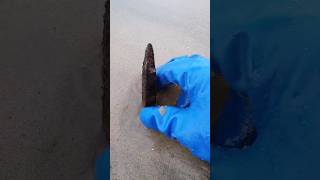 Terrible trap on the beach