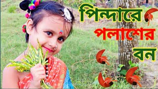 Pindare Palasher Bon/Bengali Folk Song/Enakshi/Jhumur Dance/Loko nritya/Happy \u0026 Learn with SRISTI/