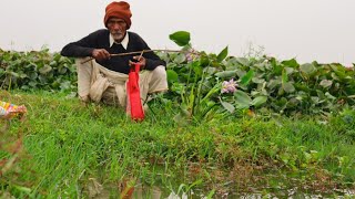 Fishing video || fishing in the village field with rain water || hook fishing