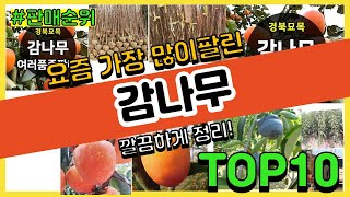 감나무 추천 판매순위 Top10 || 가격 평점 후기 비교