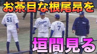 滝野にちょっかいをかける根尾、木下に引っ掻かかれるw【2021年3月9日 オープン戦 中日ドラゴンズ ナゴヤ球場】