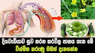 දියවැඩියාව සුව කරන කරවිල පානය ගැන මේ විශ්මිත කරුණු ඔබත් දැනගන්න