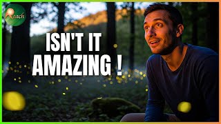 Isn't It Amazing! How to Create Miracles | The Reach Approach