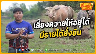 เลี้ยงควายยังไงให้อยู่รอดและสร้างรายได้แบบยั่งยืน | เกษตรสัญจร Interview