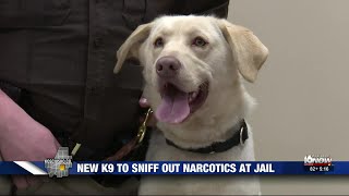Kosciusko County Sheriff’s Dept. introduces first-ever jail drug detection dog
