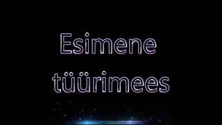 Esimene tüürimees