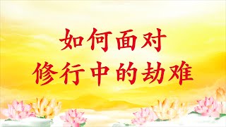 卢台长【节目录音】如何面对修行中的劫难｜遇到障碍要自己战胜自己