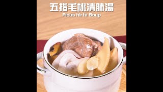 【家常靚湯】五指毛桃清肺湯 Ficus hirta Soup #湯水 #靚湯 #補肺 #健脾