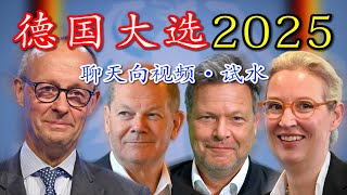 聊聊德国大选、德国的主要政党，还有“民主是什么”