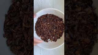 How to Make Chocolate from Cacao Fruit! Part 2