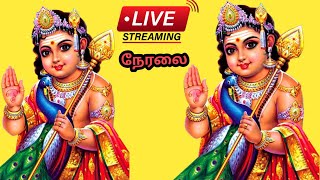 🔴நேரலை: சோலையம்மாபட்டியில் நடைபெறும் மாபெரும் முருகன் பஜனை 01.01.2025