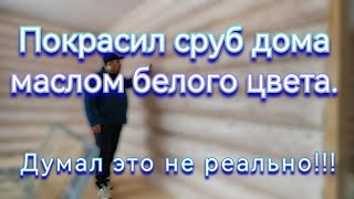 Думал это не реально!!! Покрасил сруб маслом белого цвета. Рассказываю про мою сложную ситуацию.