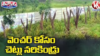 వెంచర్ కోసం చెట్లు నరికిండ్రు | Municipal Staff Chopped Haritha Haram Trees | V6 Teenmaar News