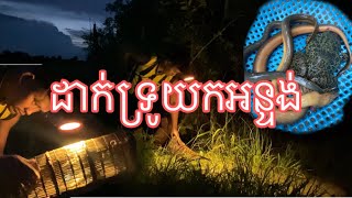 ដាក់ទ្រូយកអន្ទង