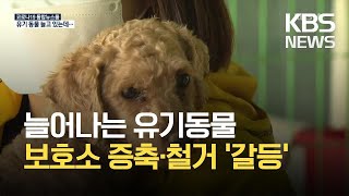 늘어나는 유기동물, 꽉 찬 보호소…증축하려다 ‘철거 위기’ / KBS 2021.04.13.