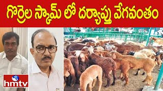 గొర్రెల స్కామ్ లో దర్యాప్తు వేగవంతం | ACB Speed Up Investigation in Sheep Distribution Scam Case