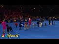 National Dog Show 2024: Best in Show (Full Judging) | NBC Sports