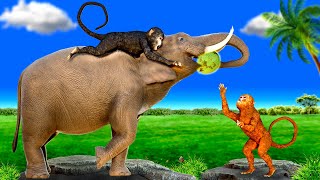 र्ख बंदर और चतुर हाथी Foolish Monkeys and Clever Elephant Hindi kahaniya Panchatantra Stories