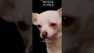 Jibanare Re Jibana 😭 Status | Odia Song | Odia Short Video #status #shorts #viral #viralshorts