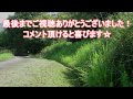 20240907　きょうの草刈り