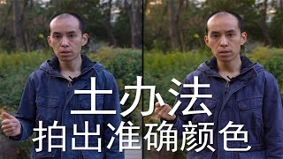 土办法使佳能，索尼，松下相机获得准确色彩，视频和拍照通用