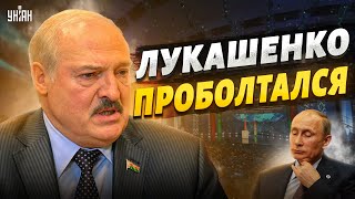 Картофельный дурень подставил Путина. О чем проговорился Лукашенко?