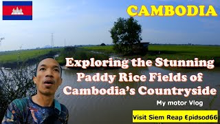 The Hidden Beauty of Cambodia's Countryside Paddy Rice Fields