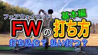 【ゴルフスイング】フェアウェイウッドの打ち方（基本編）打ち込む？払い打つ？