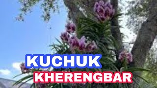 Kuchuk Kherengbar//Athukiri Production//Kokborok Song//Kokborok Modern Songs//Kokborok rwchabmung//