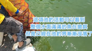 【福壽魚之章】這是個在池釣界已經漸漸沒落的一種競技運動，今天帶大家來看看吧！