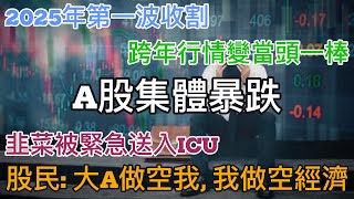 2025年第一波, 跨年行情讓無法直視, 一片綠草地，行情真看不懂, 股民大A做空我, 我做空經濟. #股市 #急跌 #行情