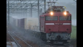 JR貨物 4093レ EF81-404