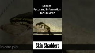 Skin Shadders - Snakes Facts & Information for Kids #snake #snakes #facts #kids #snakerescue