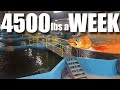 Incredible Tour of a world class Arctic Char production facility