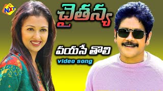 Vayase Tholi Video Song | Chaitanya Movie Songs | Telugu Melodies | Nagarjuna, Gowthami | Vega Music