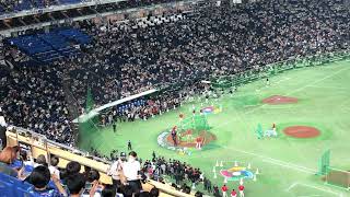 WBC2023 韓国戦大谷翔平打撃練習①