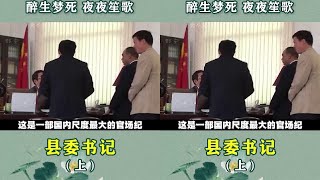 国内尺度最大的纪录片，委书记的一天，上映没多久就被判刑！ #纪录片 #反腐 #清廉#历史 #揭秘 #背景故事