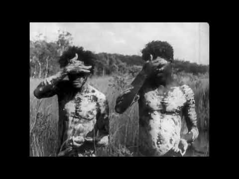 How did aboriginals use kangaroo?