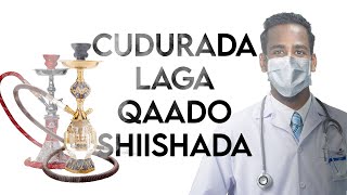 SHIISHADA - CUDURADA LAGA QAADO SHIISHADA