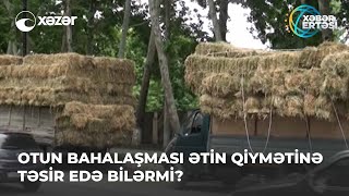 Otun Bahalaşması Ətin Qiymətinə Təsir Edə Bilərmi?