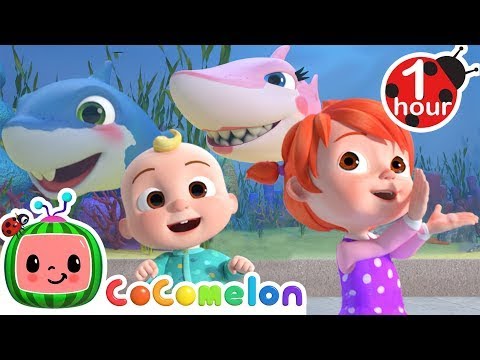 Baby Shark! + @Cocomelon Nursery Rhymes 1 HOUR - YouTube